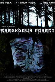 BREAKDOWN FOREST Poster