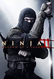 NINJA SHADOW OF A TEAR Poster