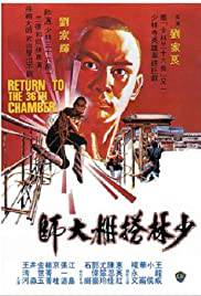RETURN OF THE 36TH CHAMBER Poster