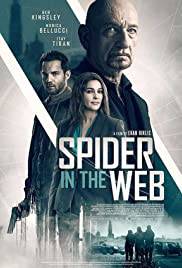 SPIDER IN THE WEB Poster
