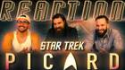 STAR TREK: PICARD S02 Poster
