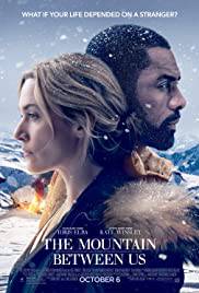THE MOUNTAIN BETWEEN US Poster
