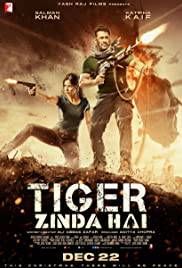 TIGER ZINDA HAI Poster